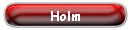 Holm